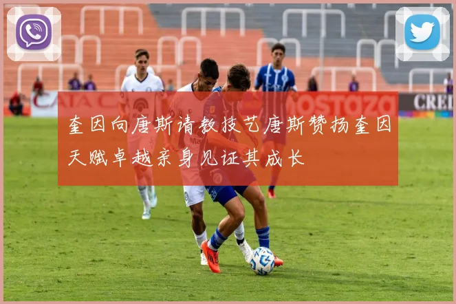 奎因向唐斯请教技艺唐斯赞扬奎因天赋卓越亲身见证其成长